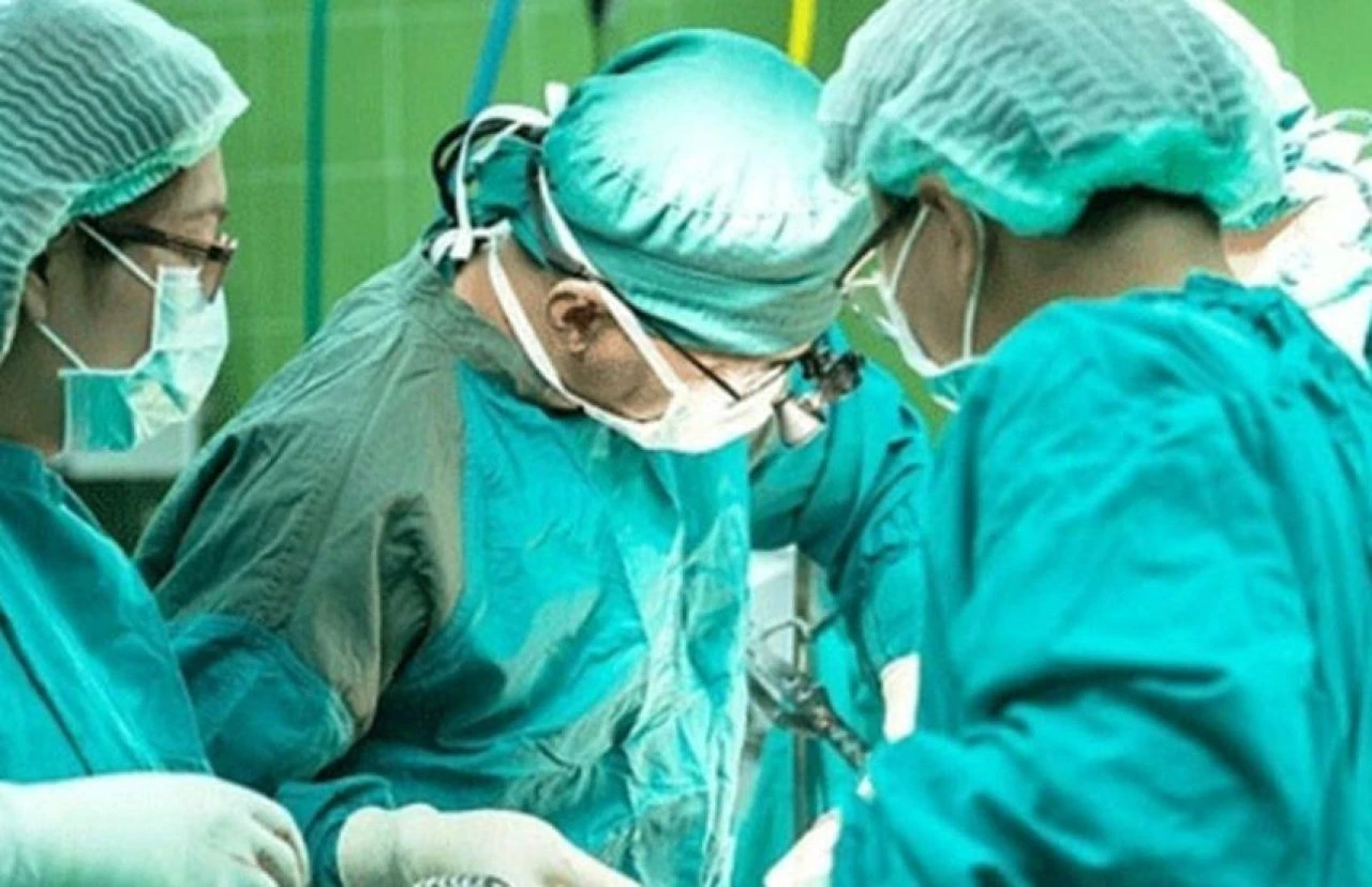 Basura iyi gelen şeyler: Basura iyi gelen bitkiler, çaylar, yağlar ve yiyecekler neler? - 1. Resim