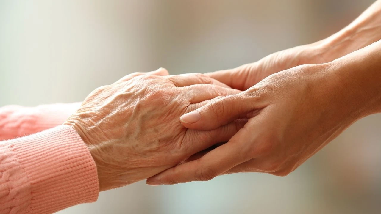 BES katılımcılarına müjde: Kesintiler azaltılacak! 'üniBES' projesi ile finans liseleri kuruluyor - 1. Resim