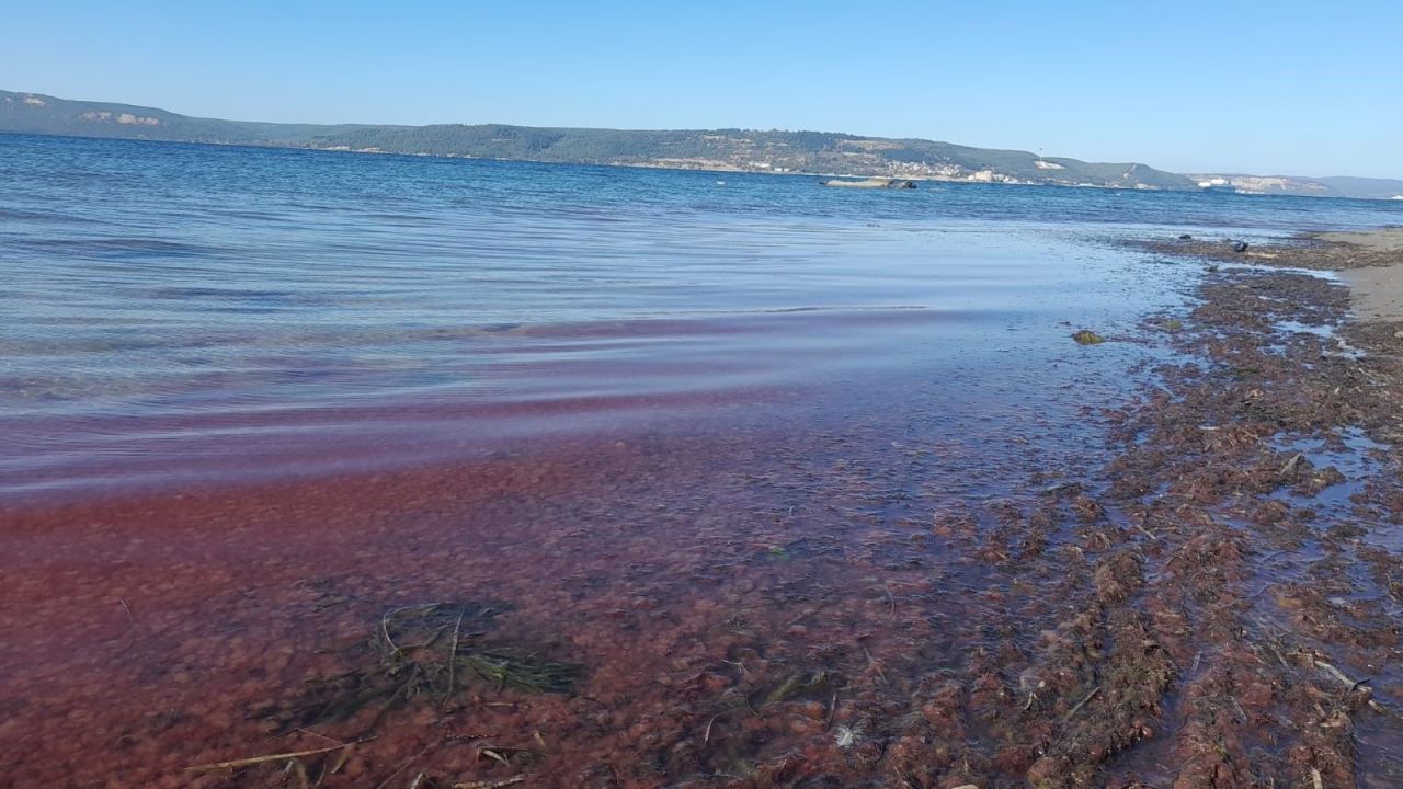 Çanakkale’de meraklandıran görüntü: Sahil kıpkırmızı oldu - 1. Resim