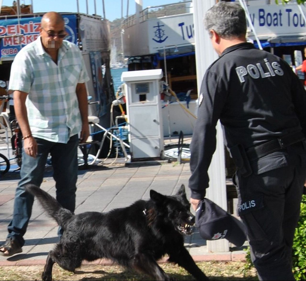 Cumhuriyet kutlamalarında köpek, polisleri kanlar içinde bıraktı - 1. Resim