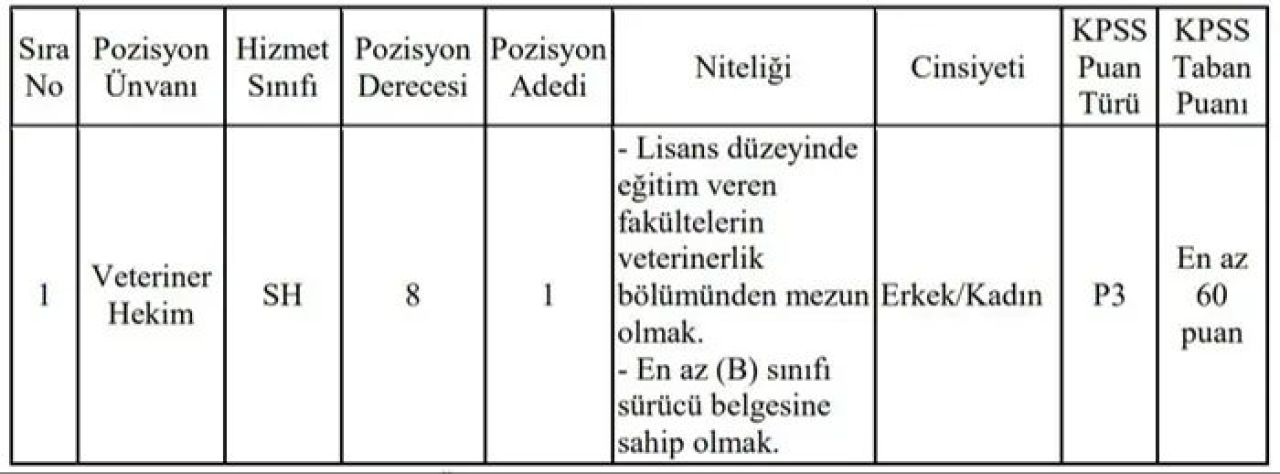 KPSS'de 60 puanla memur olma şansı! Kurumlar ilanları resmen açtı - 3. Resim