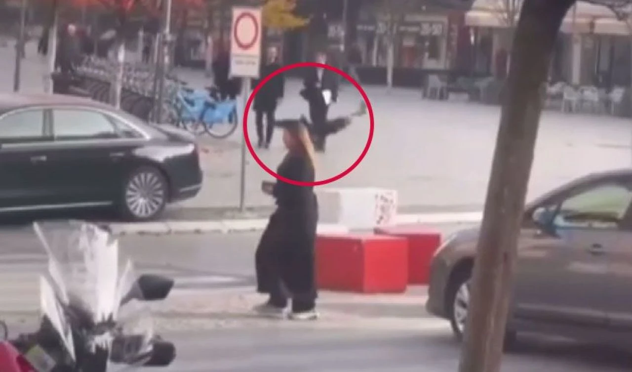 Psikopat kargalar! Yoldan geçenlere saldırdılar - 1. Resim