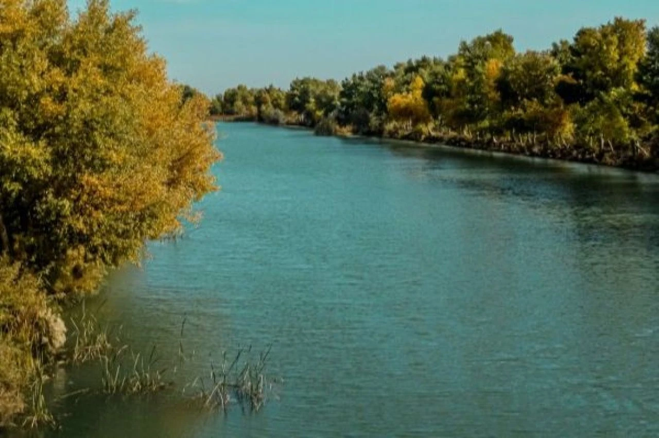 Türkiye'den Özbekistan'a uzanan yeşil destinasyon! - 2. Resim