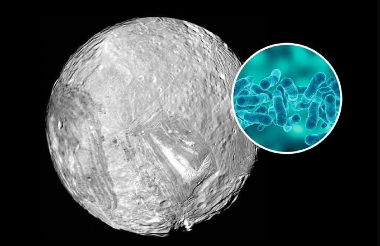 Uranüs'ün buzlu uydusu Miranda, 24 Ocak 1986'da NASA'nın Voyager 2 uzay aracı tarafından fotoğraflandı. Miranda, mikrobiyal yaşamı barındırabilecek bir yeraltı okyanusuna sahip olabilir.