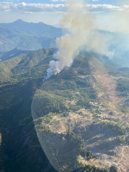 Muğla Köyceğiz'de orman yangınına müdahale sürüyor - 1. Resim