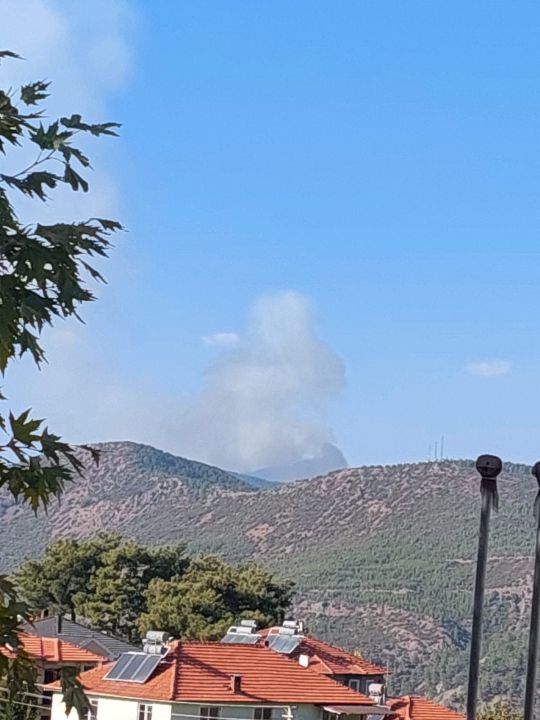 Muğla Köyceğiz'de orman yangınına müdahale sürüyor - 3. Resim