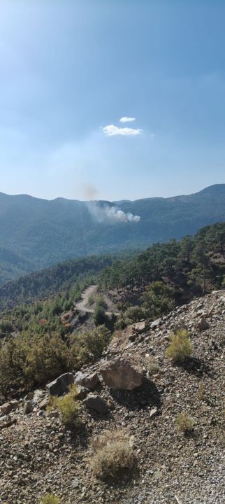 Muğla Köyceğiz'de orman yangınına müdahale sürüyor - 2. Resim