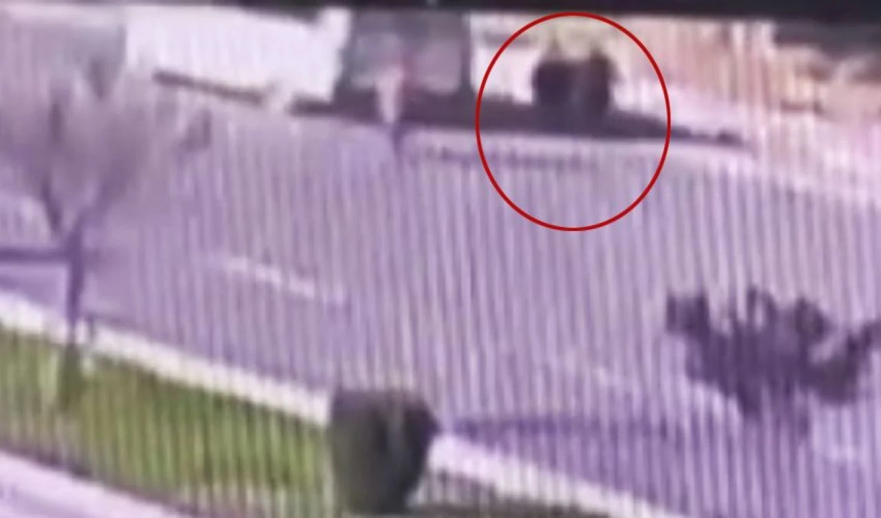 Afyonkarahisar’da feci kaza! Minibüsten inen yolcuları ezdi - 1. Resim