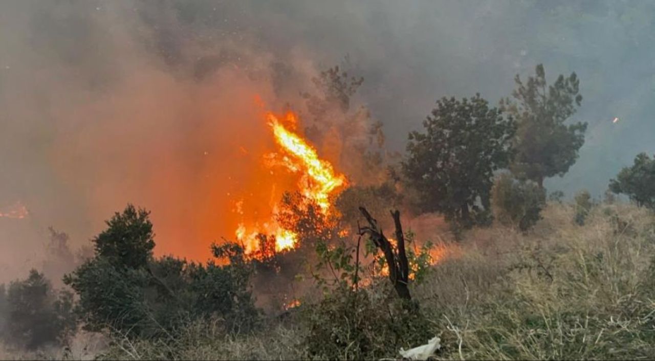 Hatay'da orman yangını evlere kadar sıçradı! Çevre illerden destek istendi - 2. Resim