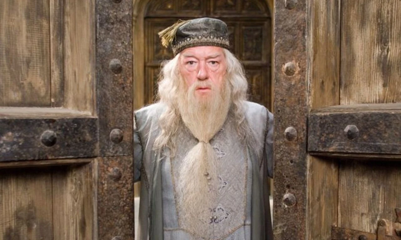 Büyücüler kapışıyor! Gandalf mı, Dumbledore mu? "Anca getir götürünü yapar..."