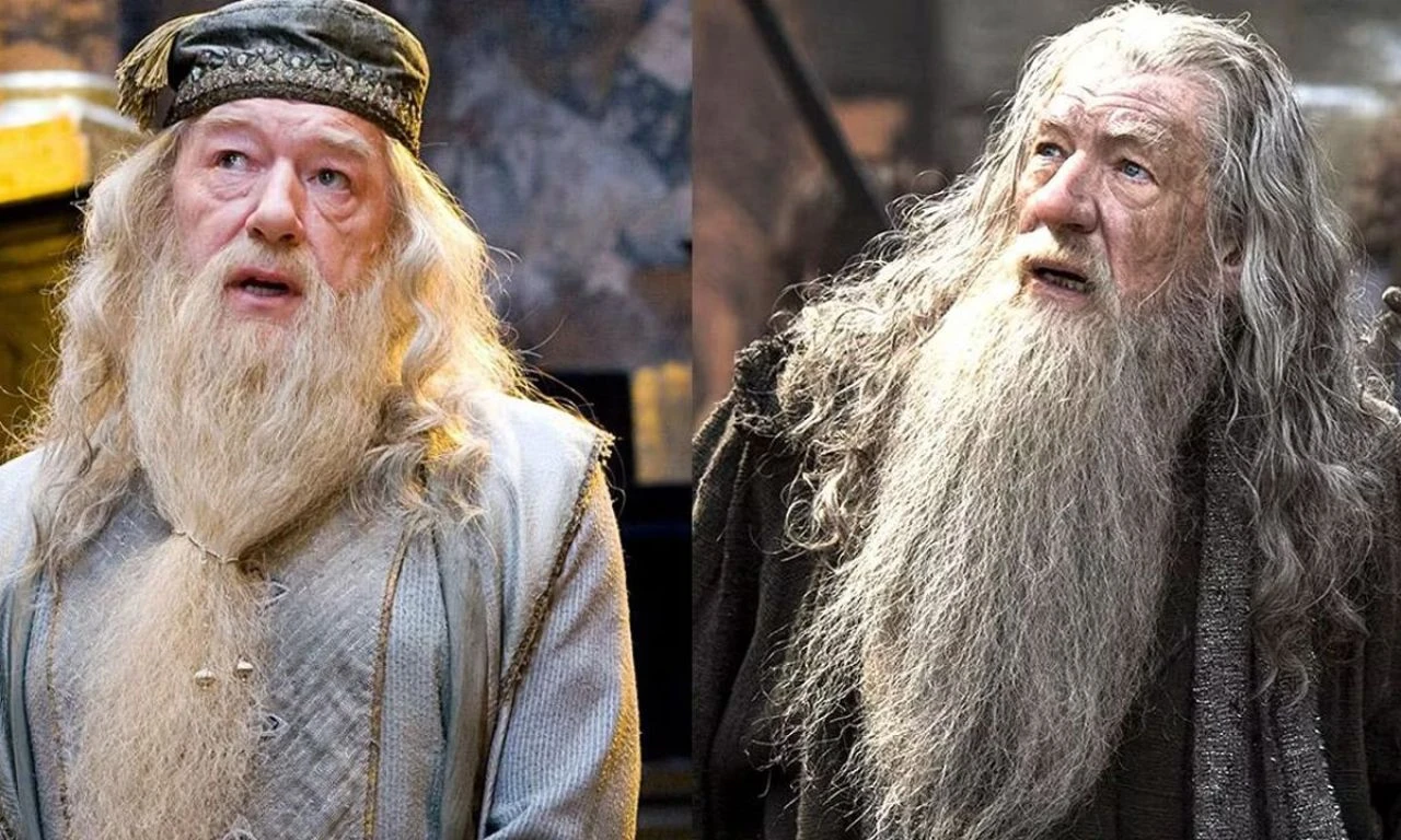 Büyücüler kapışıyor! Gandalf mı, Dumbledore mu? "Anca getir götürünü yapar..."