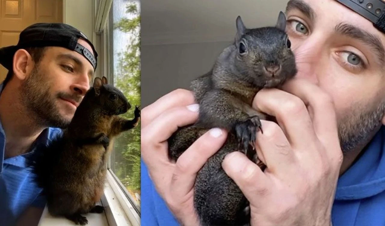 Donald Trump ABD seçimini sincap farkıyla kazanabilir! Sosyal medya fenomeni Peanut'a ötanazi yapıldı, ülke bu olayla çalkalanıyor - 2. Resim