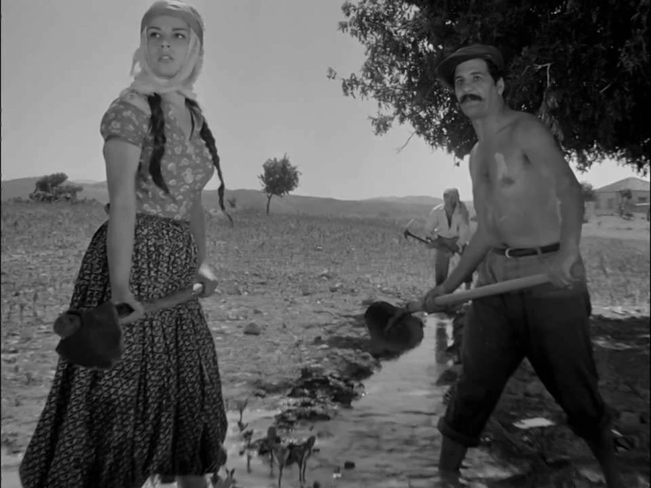 Kim Milyoner Olmak İster 1 milyon TL'lik sorunun cevabı Susuz Yaz filmi gündem oldu - 3. Resim