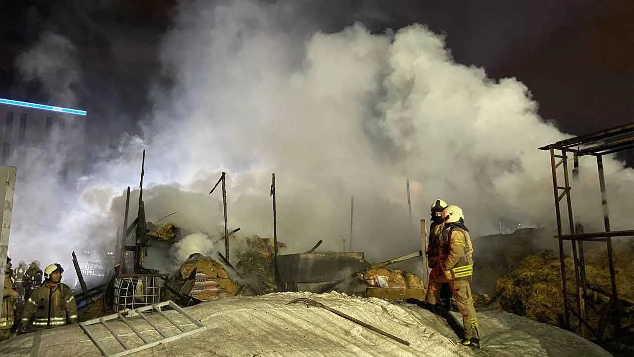 İstanbul'da kurbanlık hayvanların tutulduğu ahırda yangın: Onlarca hayvan telef oldu