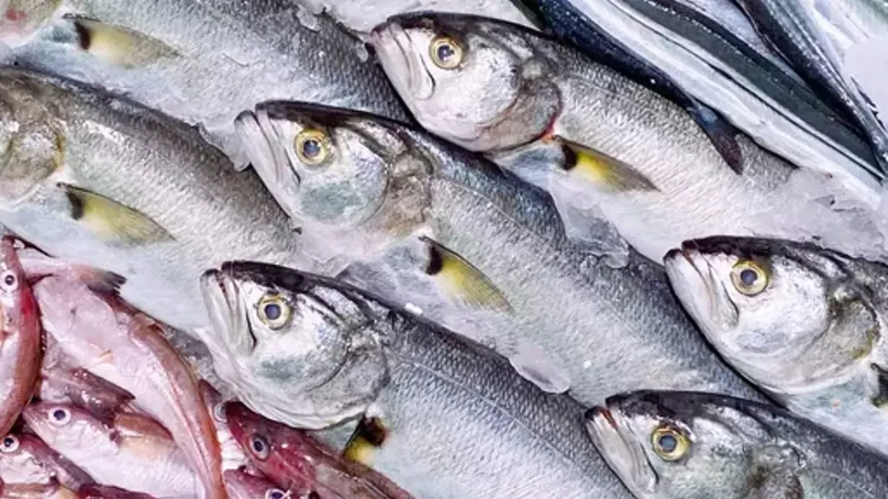 Kasım ayı hangi balık yenir diyenler tezgahlardan önce internete baktı - 3. Resim