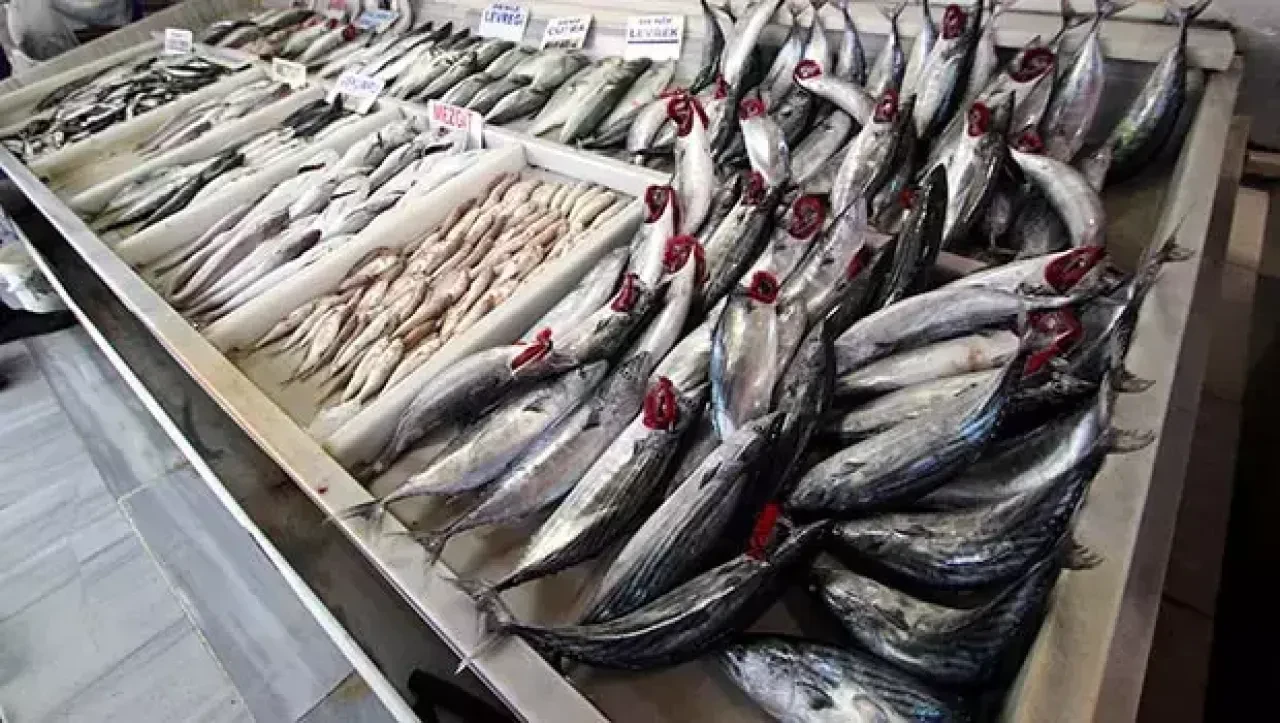 Kasım ayı hangi balık yenir diyenler tezgahlardan önce internete baktı - 1. Resim