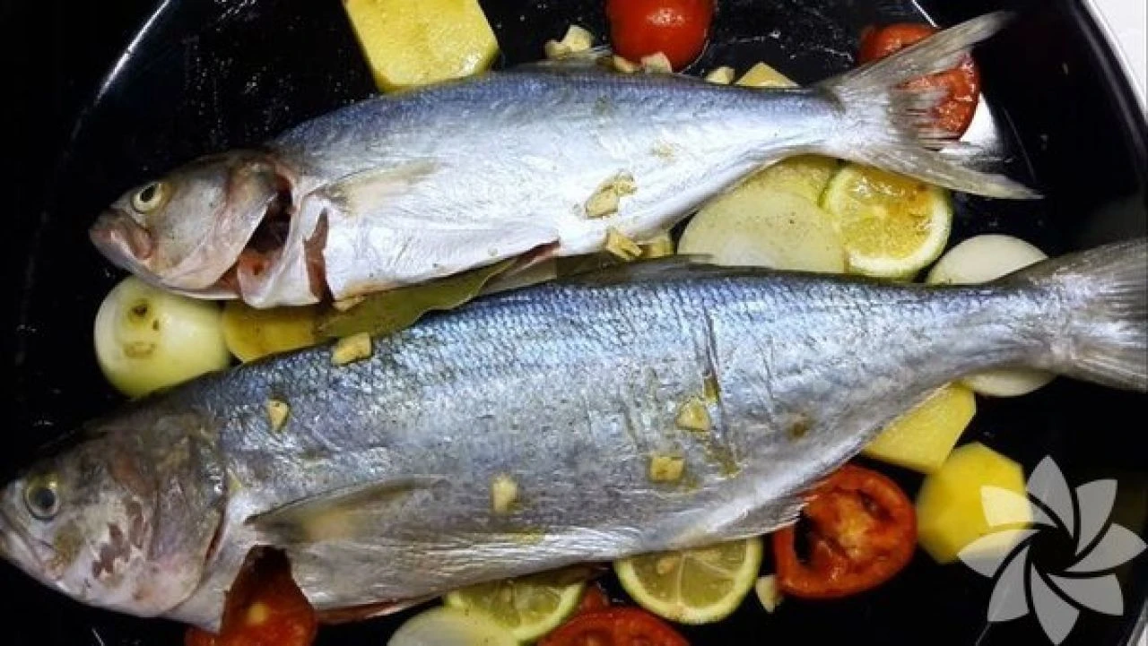 Kasım ayı hangi balık yenir diyenler tezgahlardan önce internete baktı - 5. Resim