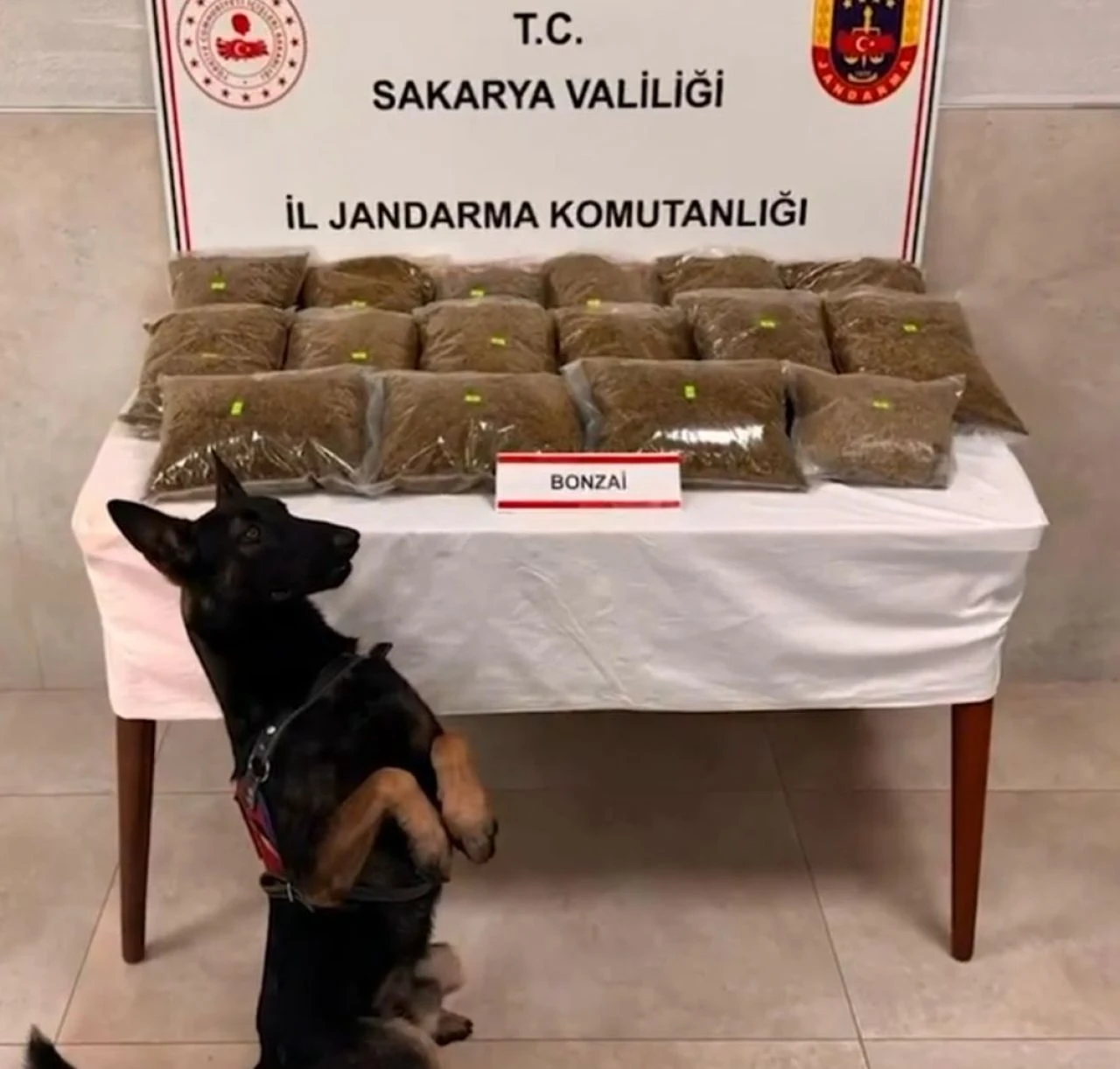 Zehir tacirlerine büyük darbe! Bakan Yerlikaya duyurdu: 14 ilde Narkoçelik-46 operasyonu - 6. Resim