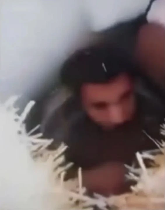 Dünya bu olayı konuştu: 28 sene komşusunu alıkoydu! Sonunda cezası kesildi - 3. Resim