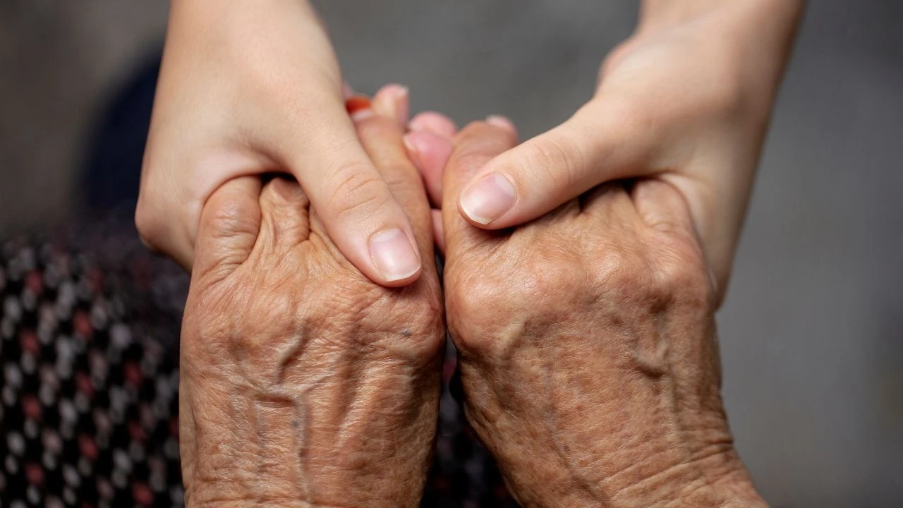 Kasım ayı destek ödemeleri o tarihte hesaplarda! Son ödemenin yapılacağı gün belli oldu - 1. Resim