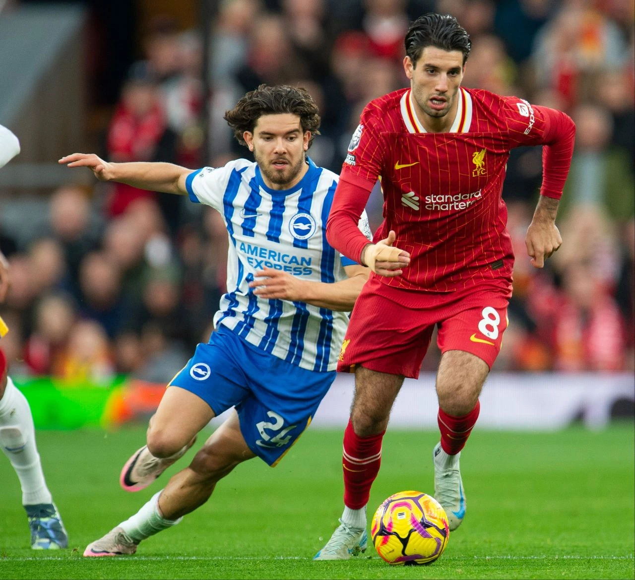Ferdi Kadıoğlu'nun Brighton-Manchester City maçında oynayacak mı? Muhtemel 11'ler belli oldu - 2. Resim