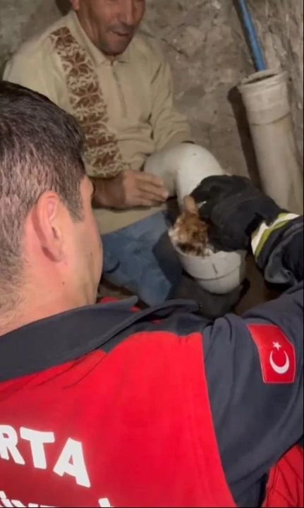 Yavru kedinin sıkıştığı yeri gören ev sahipleri şaşkına döndü! - 2. Resim