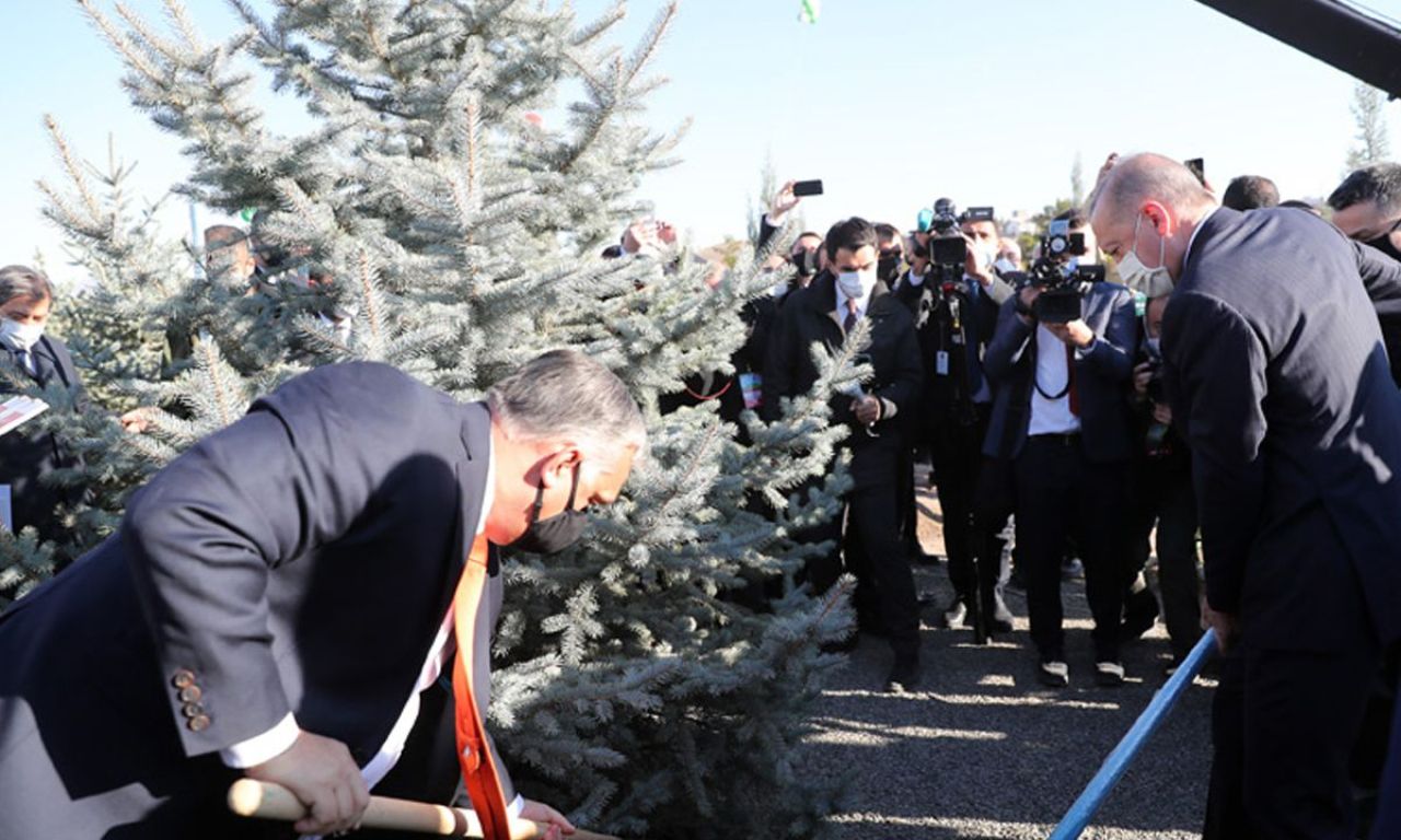 Cumhurbaşkanı Erdoğan paylaştı! Tüm vatandaşlara çağrıda bulundu - 2. Resim