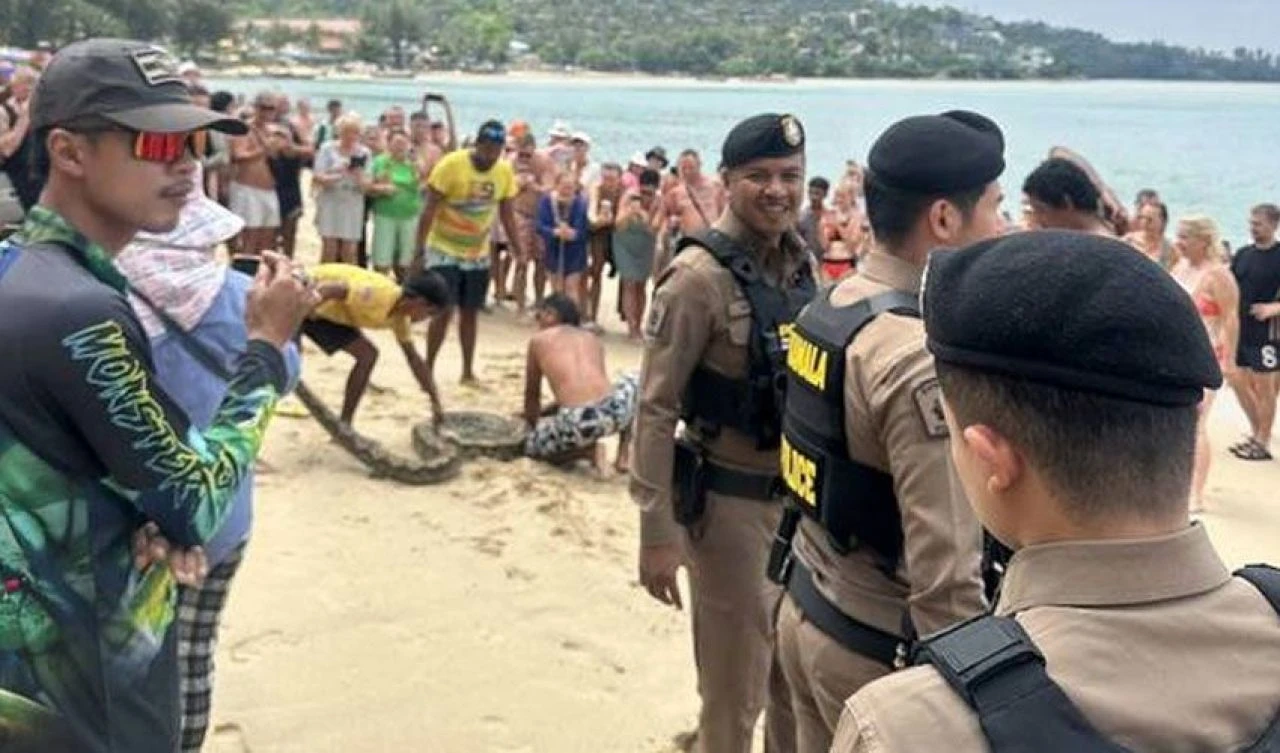 Dev piton paniği: Turistler denizin içinde ter döktü! - 3. Resim
