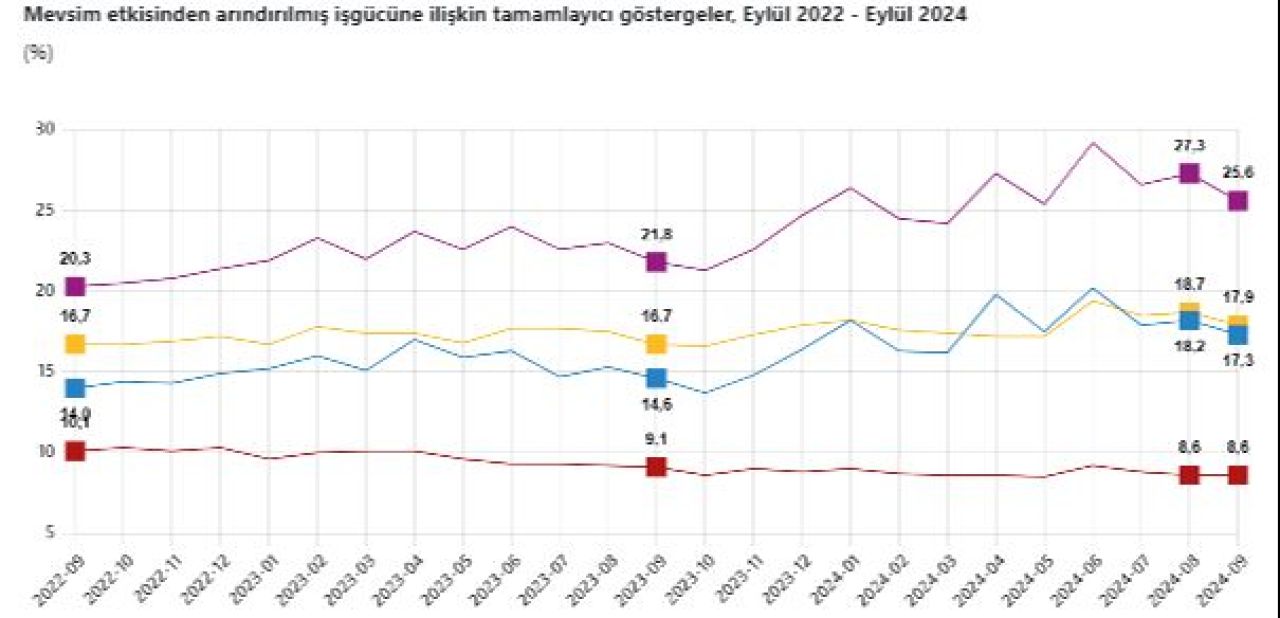 TÜİK açıkladı! İşsizlik rakamları belli oldu - 4. Resim