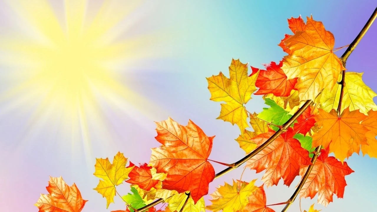 2024 pastırma sıcakları ne zaman? Geleceği tarih bekleniyor - 1. Resim