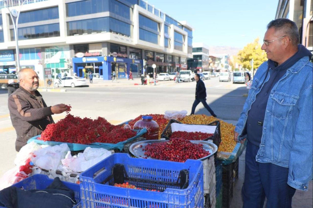 Erzincan’ın ‘seyyar doktoru’ dağ bitkileriyle şifa dağıtıyor! 'Bunu yiyen kalp hastası olmaz' - 2. Resim