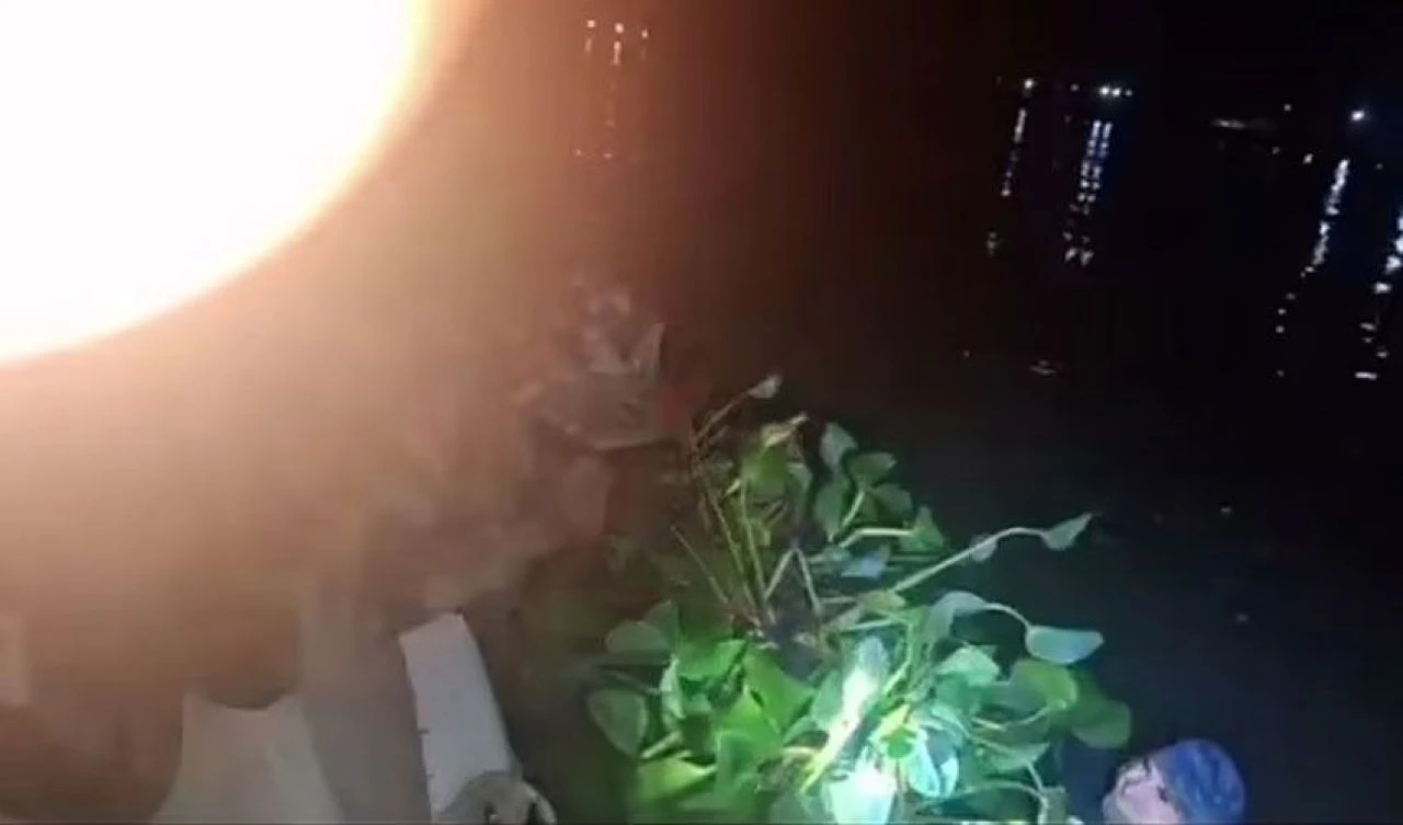 Hızlı giden su sümbülü yakayı ele verdi! Aquaman'den esinlenen kaçakçının kamufle yöntemi şoke etti - 1. Resim