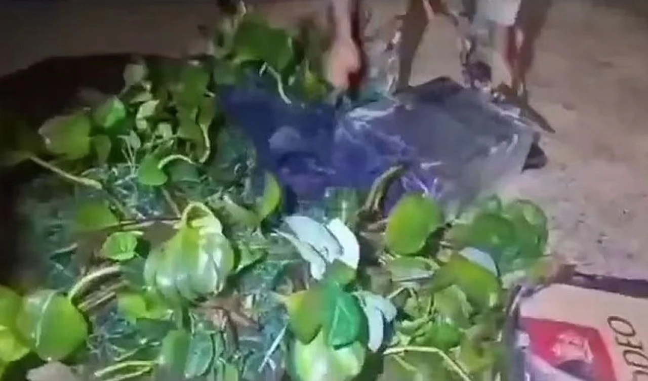 Hızlı giden su sümbülü yakayı ele verdi! Aquaman'den esinlenen kaçakçının kamufle yöntemi şoke etti - 5. Resim