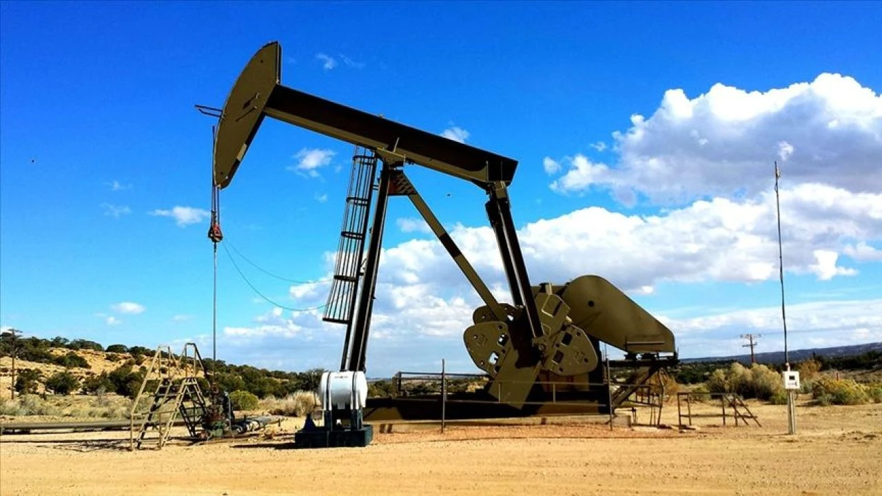 OPEC küresel petrol talebine yönelik tahminini düşürdü - 2. Resim