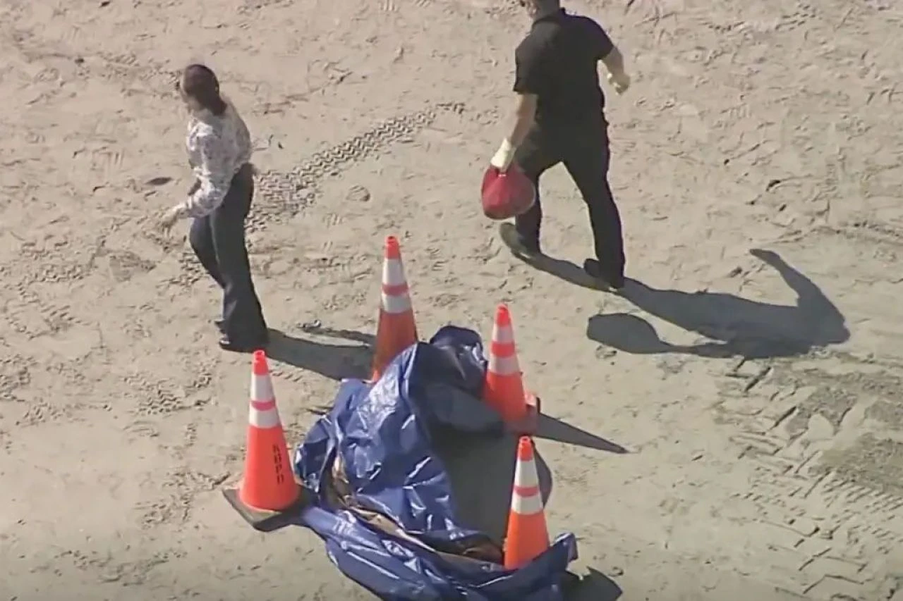 Sahile kesik insan başı vurdu! Halk endişe içinde