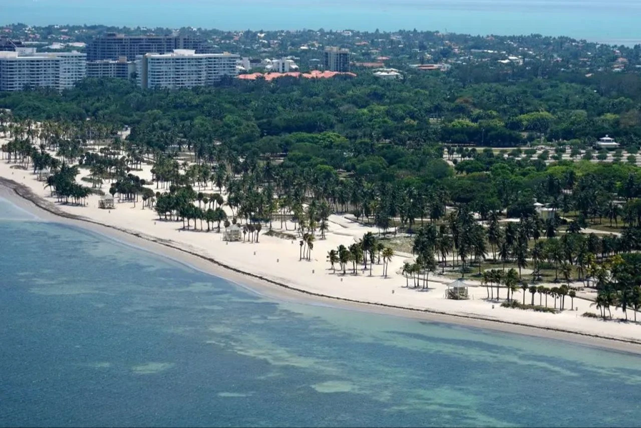 Sahile kesik insan başı vurdu! Halk endişe içinde