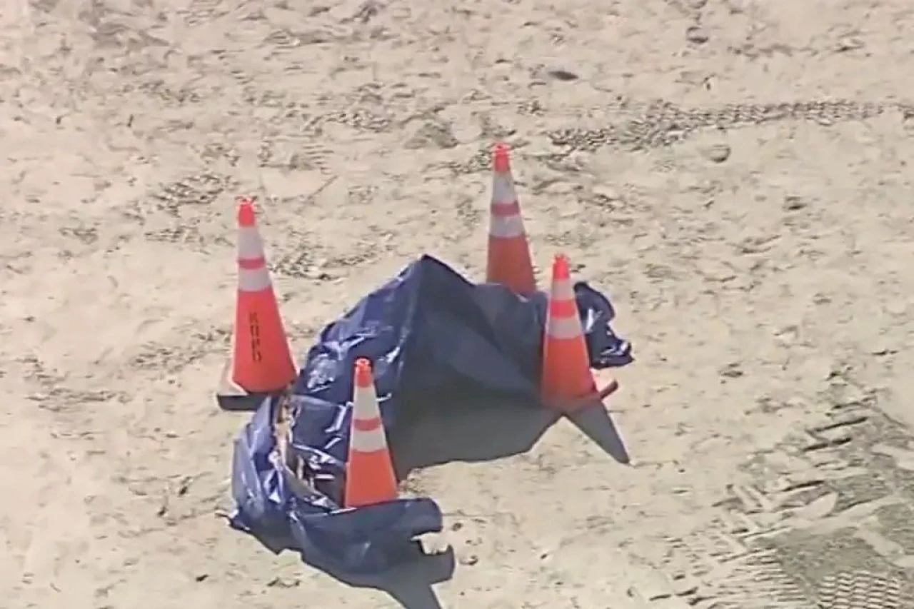 Sahile kesik insan başı vurdu! Halk endişe içinde