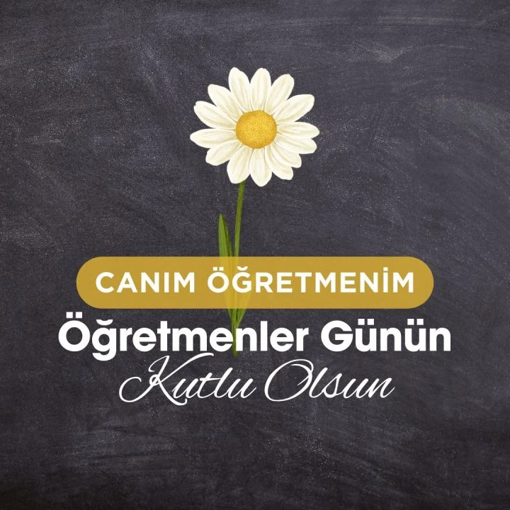 24 Kasım Öğretmenler Günü için en güzel sözler, duygu dolu şiirler, anlamlı mesajlar