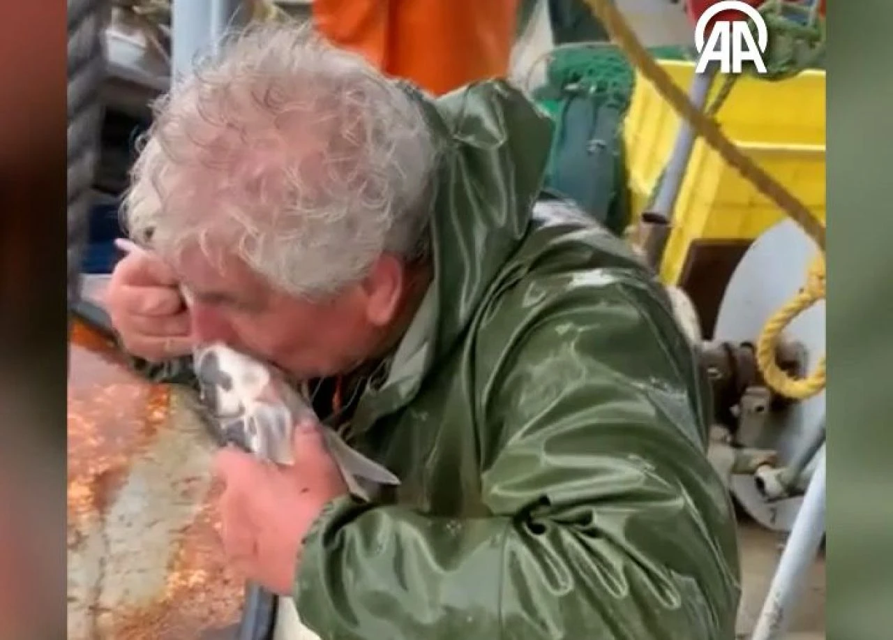 Alkışlanacak hareket! Mersin balığına suni teneffüs yaptı, karnını doyurup denize geri saldı - 1. Resim