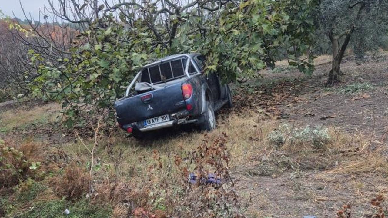 Bursa'da korkunç kaza! Kamyonet ağaca çarptı: Ölü ve yaralılar var 