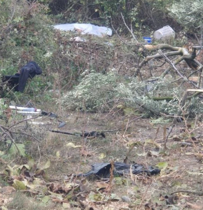 Bursa'da korkun kaza! Kamyonet ağaca çarptı: Ölü ve yaralılar var  - 1. Resim