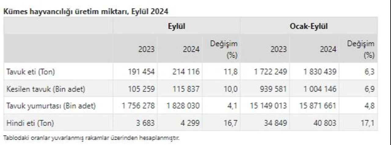 Tavuk ve yumurta üretiminde artış: Kümes hayvancılığı patlama yaptı! Fiyatlar düşecek mi? - 3. Resim