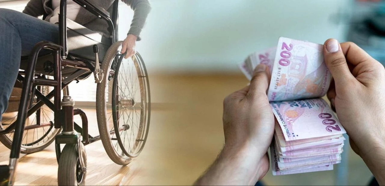 Evde bakım maaşı yattı mı? Ödemelerin yapıldığı iller sorgulaması e-devlette! - 1. Resim