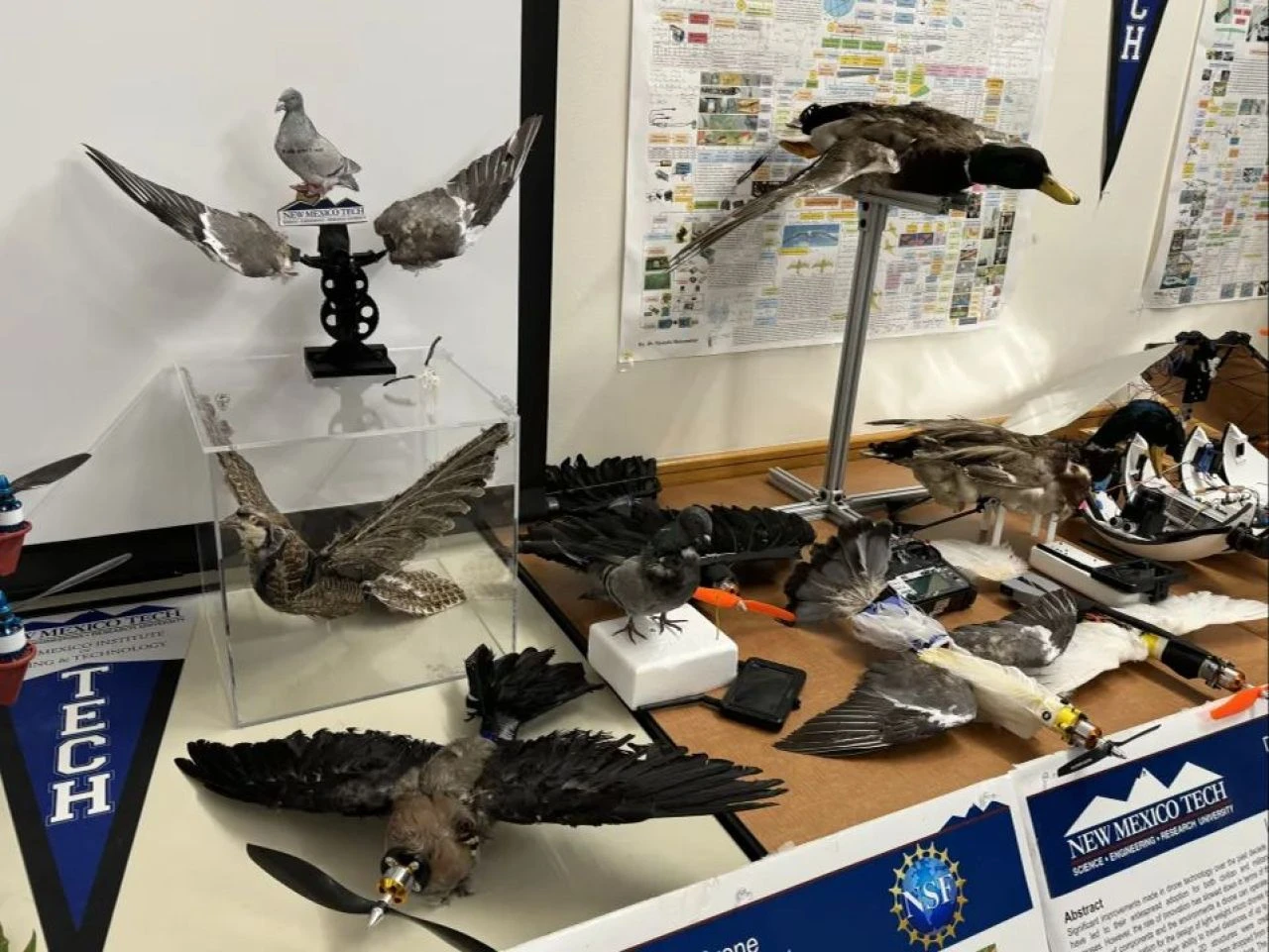 Ölü hayvanlardan ürkütücü zombi dron sürüleri! Casuslukta yeni dönem - 2. Resim