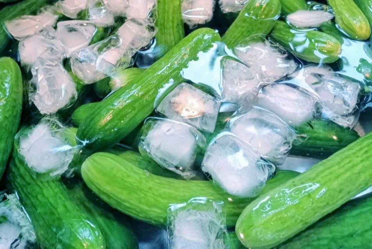 Büzüşmüş salatalıkları yeniden tazeleştirmek mümkün! Gözlerinize inanamayacaksınız