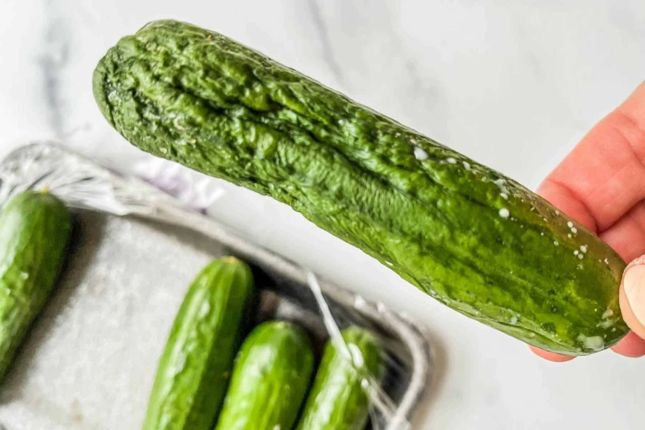 Büzüşmüş salatalıkları yeniden tazeleştirmek mümkün! Gözlerinize inanamayacaksınız