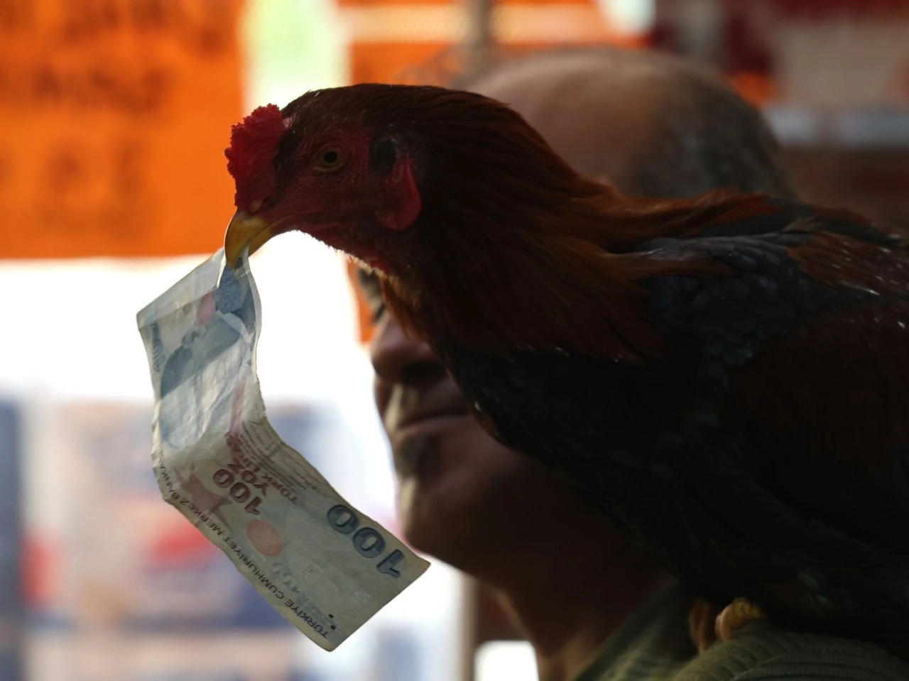 Garip dostluğu görenler şaşırıyor! Motosiklete binip tur atıyorlar: 20 bin TL teklif ettiler