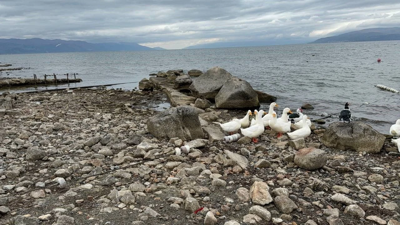 İki bin yıl önce keşfedilmişti! Tamamen gün yüzüne çıktı, üzerinde ördekler geziyor - 1. Resim