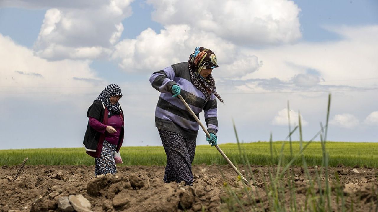 Tapusu olana devlet kira verecek! 2025 yılında başlıyor - 7. Resim