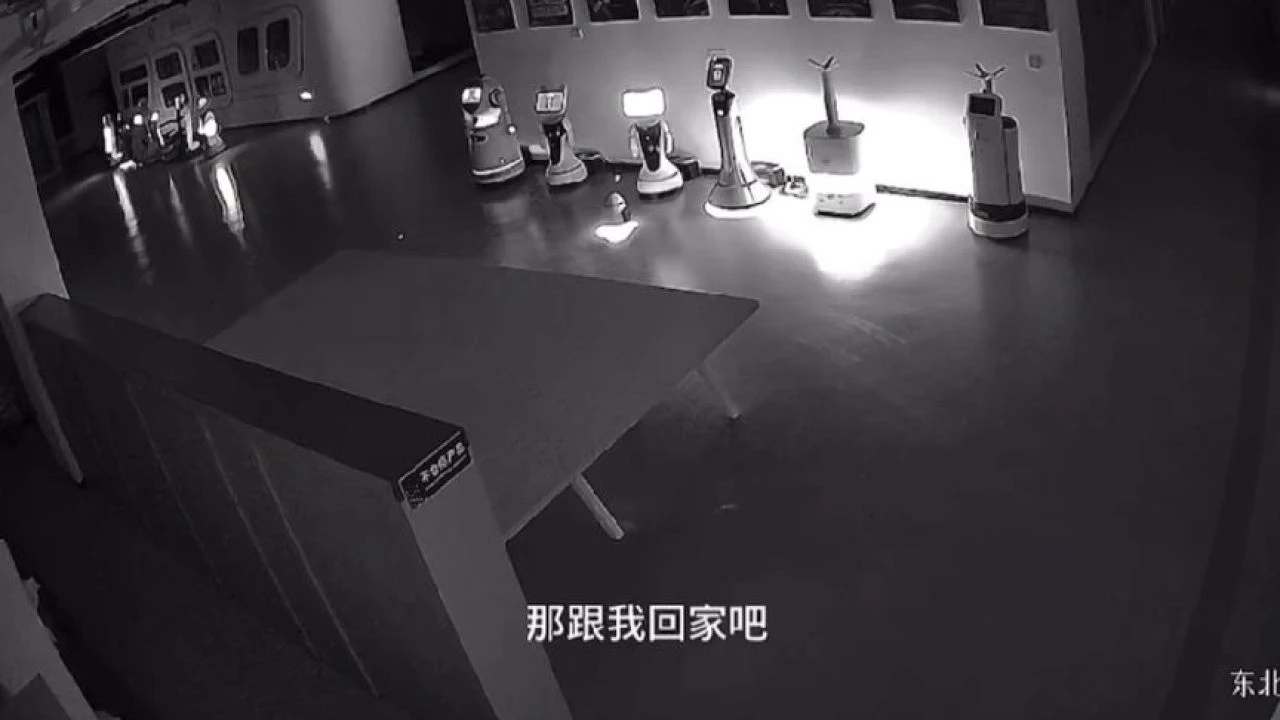 Çin'de bir robot, ikna ettiği 12 robotu kaçırdı! Kurgu sanılan olayın aslı bambaşkaymış - 1. Resim
